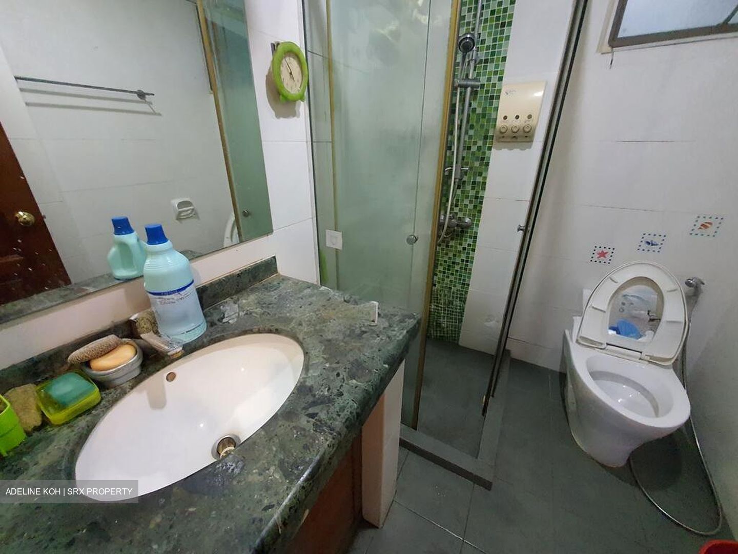 Northvale (D23), Apartment #520678121